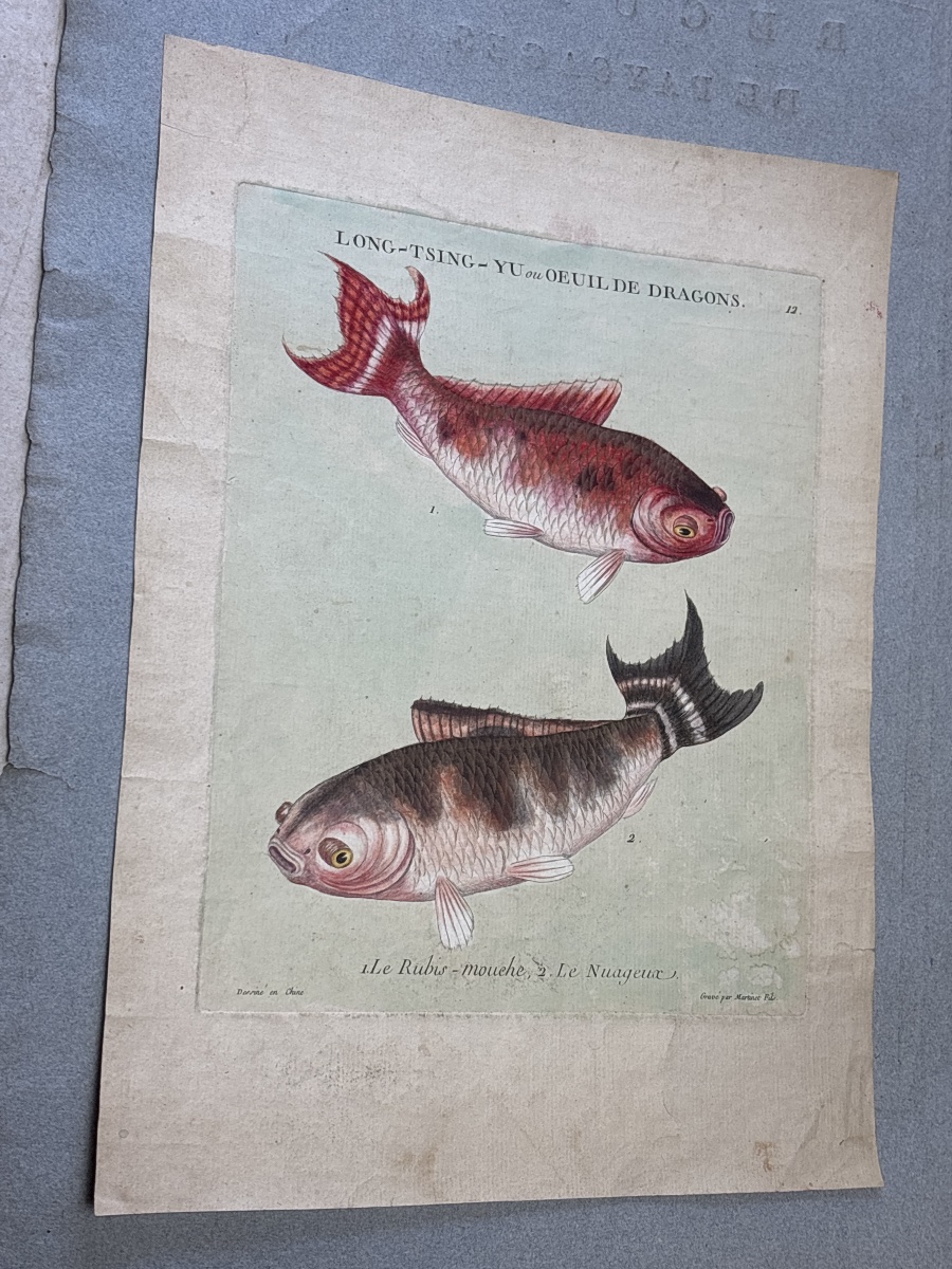 F.n. Martinet (1725–1804), Long-tsing-hu, Engraving Depicting The History Of Sea Bream, China, 1780-photo-7