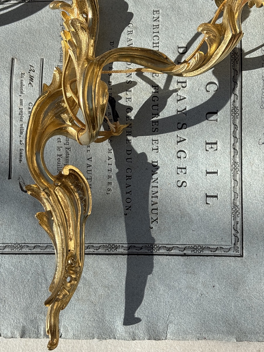 Paire Appliques Bronze Doré Louis XV vers 1900-photo-2