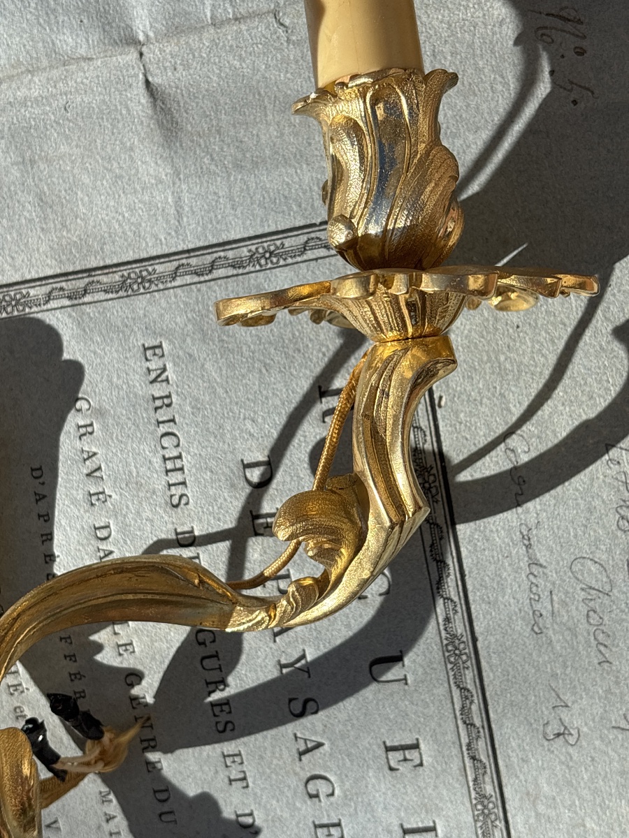 Paire Appliques Bronze Doré Louis XV vers 1900-photo-3
