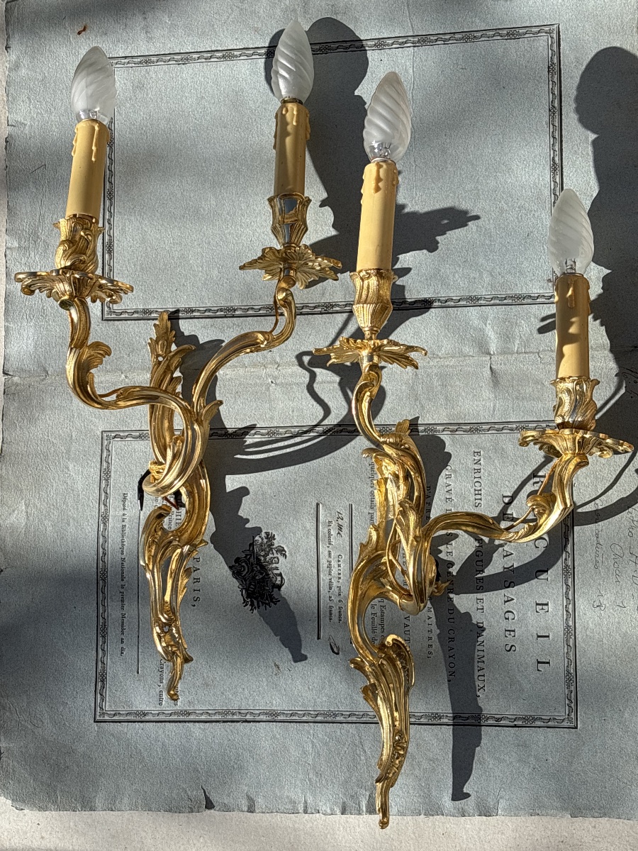 Paire Appliques Bronze Doré Louis XV vers 1900
