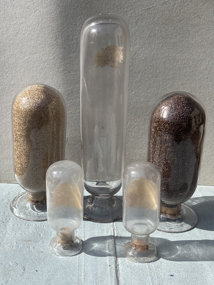 Five 19th-century Upside-down Apothecary Glass Jars -photo-4