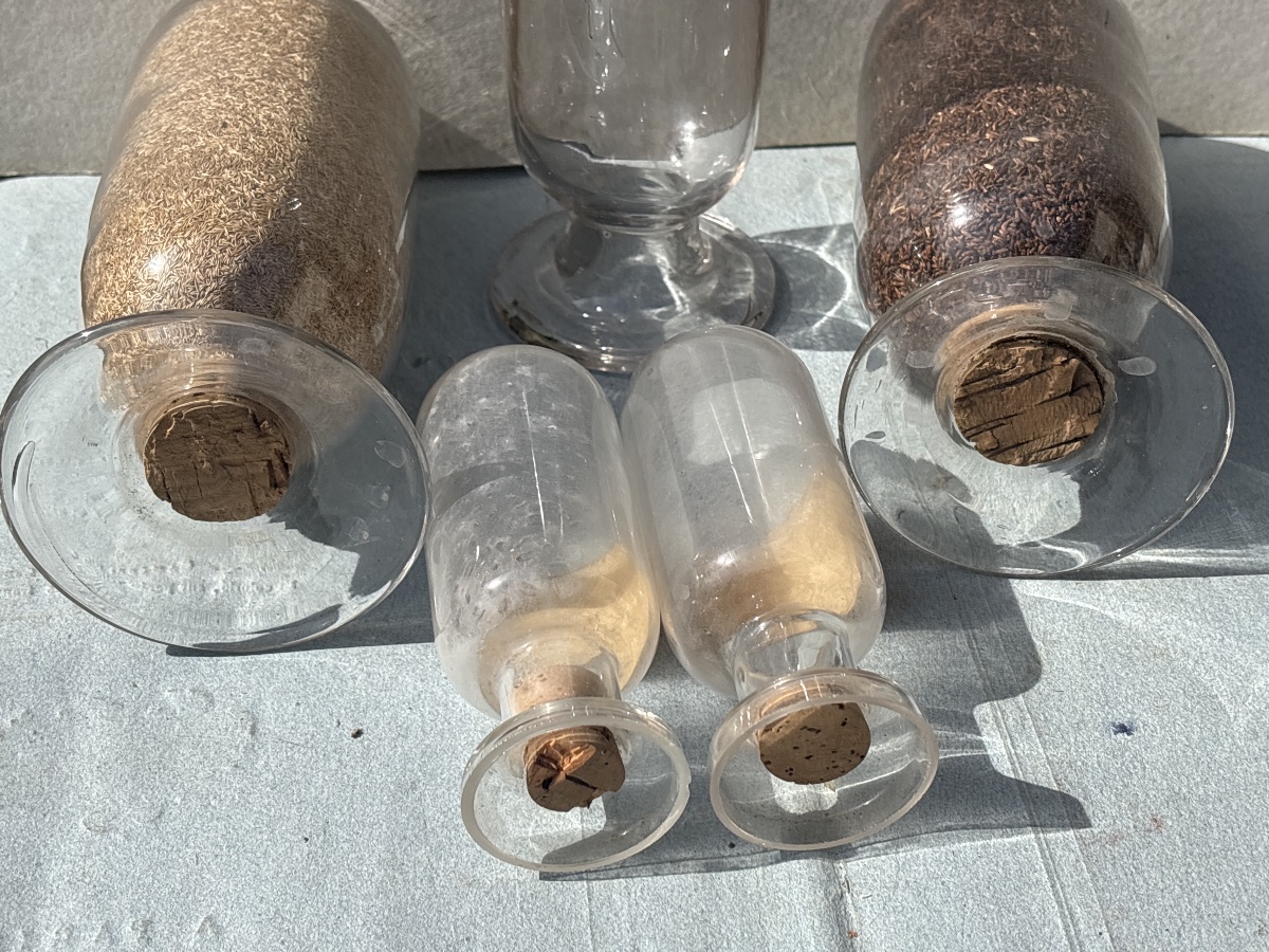 Five 19th-century Upside-down Apothecary Glass Jars -photo-1