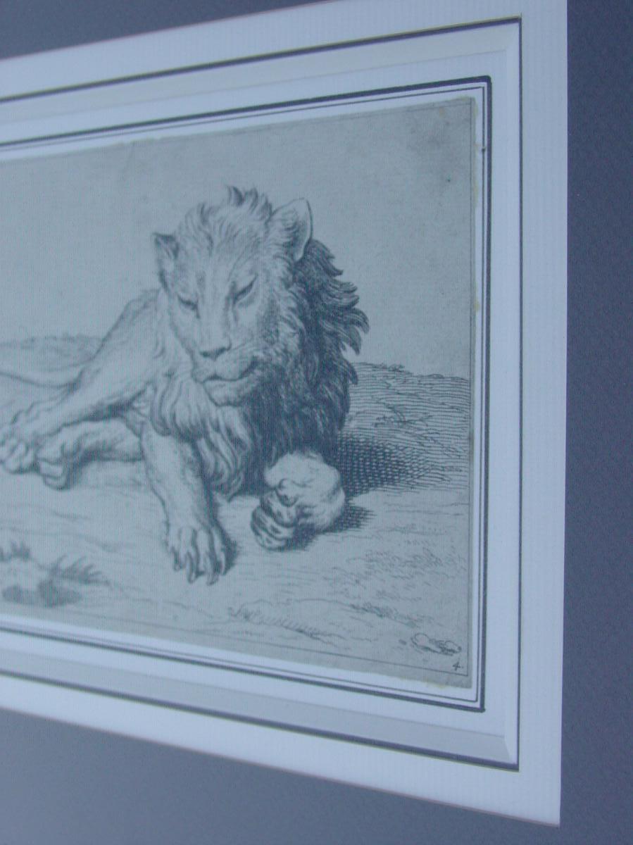 Pair Engravings "the Lions" Picart & Rembrandt Super Framed-photo-4