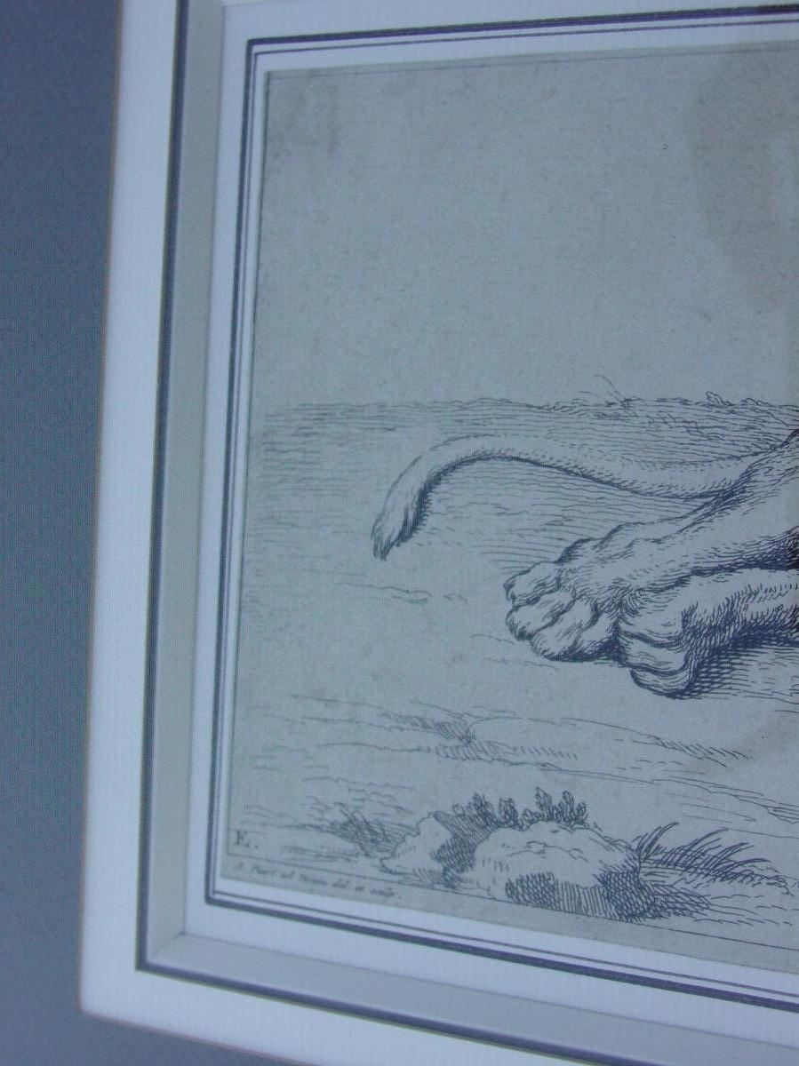 Pair Engravings "the Lions" Picart & Rembrandt Super Framed-photo-5