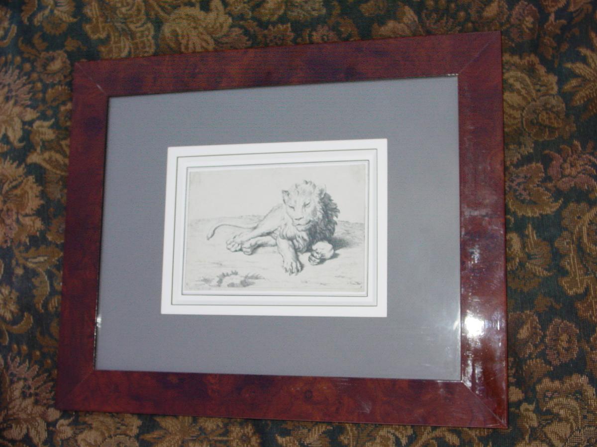 Pair Engravings "the Lions" Picart & Rembrandt Super Framed-photo-3