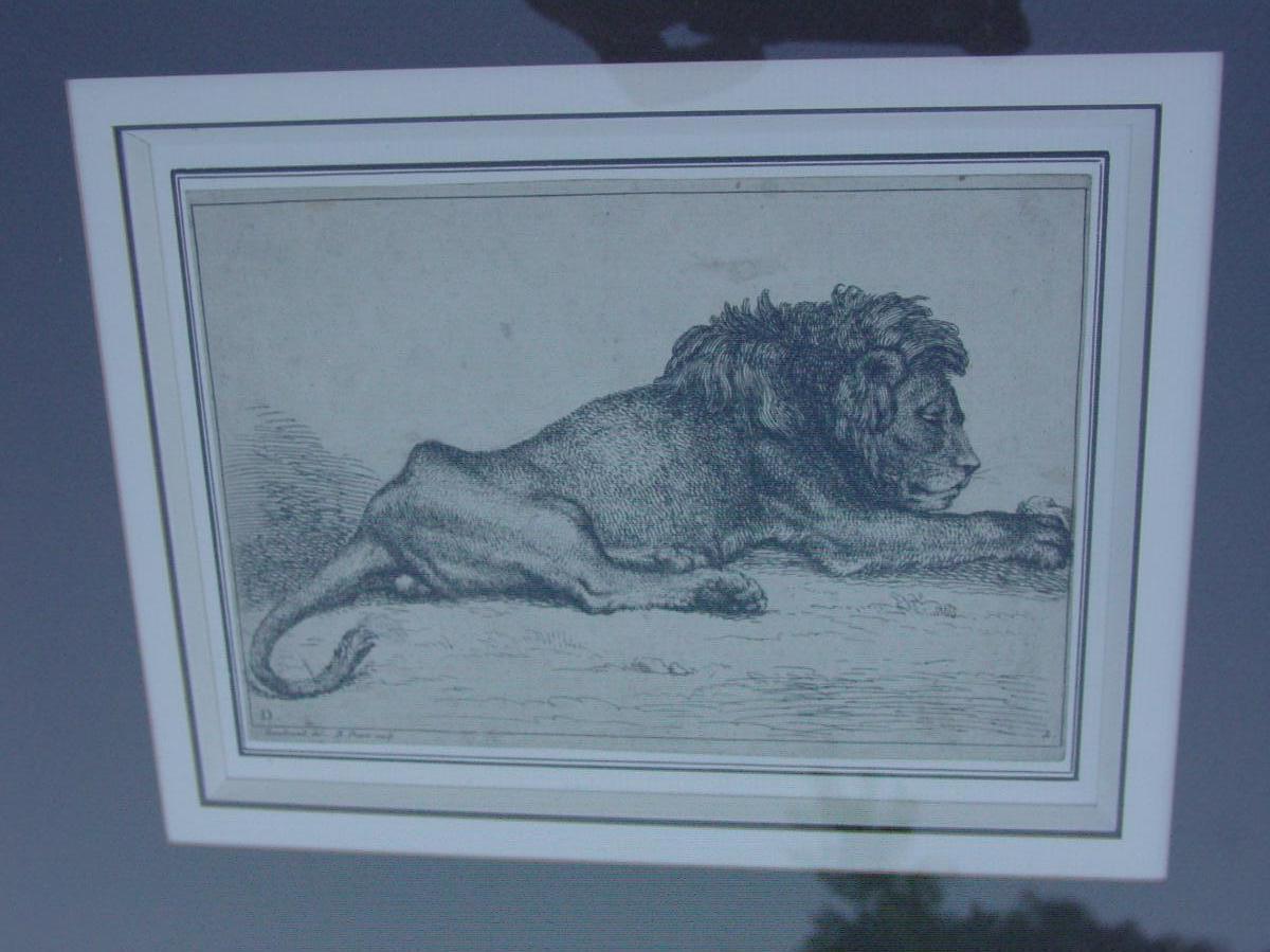 Pair Engravings "the Lions" Picart & Rembrandt Super Framed-photo-2