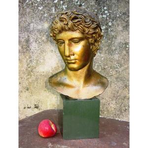 Buste d'Apollon Moulage Ancien Ateliers Du Louvre