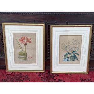 2 gravures Botaniques du 19 eme aquarellees 