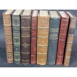 8 Volumes Of Natural History Bound Around 1900