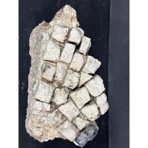 Fragment Mosaïque Romaine Antique 