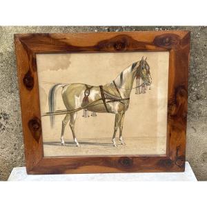 Harnessed Horse Lithograph By A. Adam 