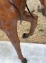 1779521-6a3163eb5db9a.jpg