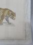 1782028-alb-6a36b0dc7b935.jpg