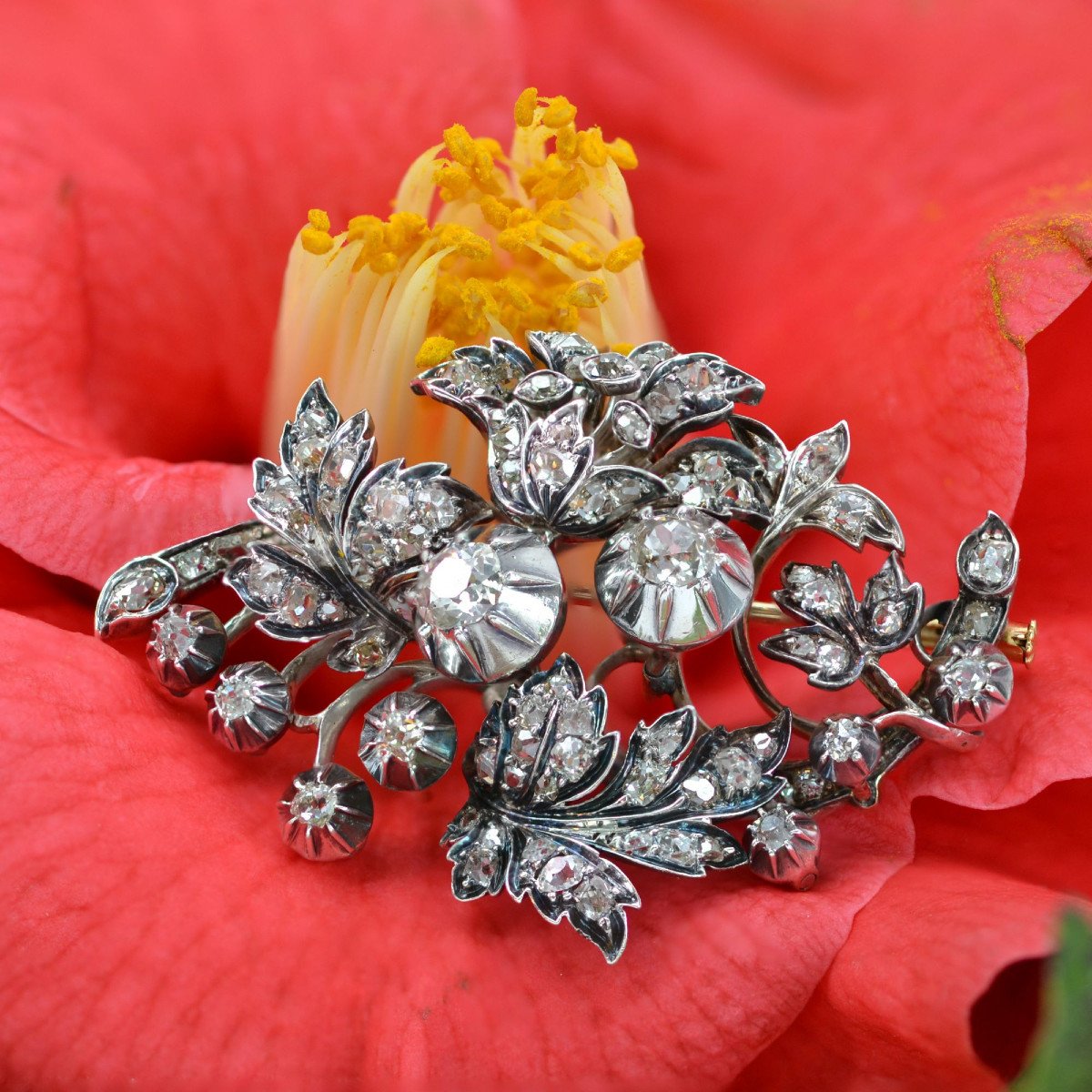 Broche Ancienne Bouquet Diamanté-photo-3