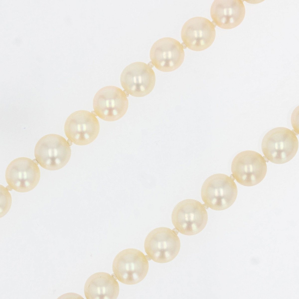 Akoya Cultured Pearl Necklace-photo-3