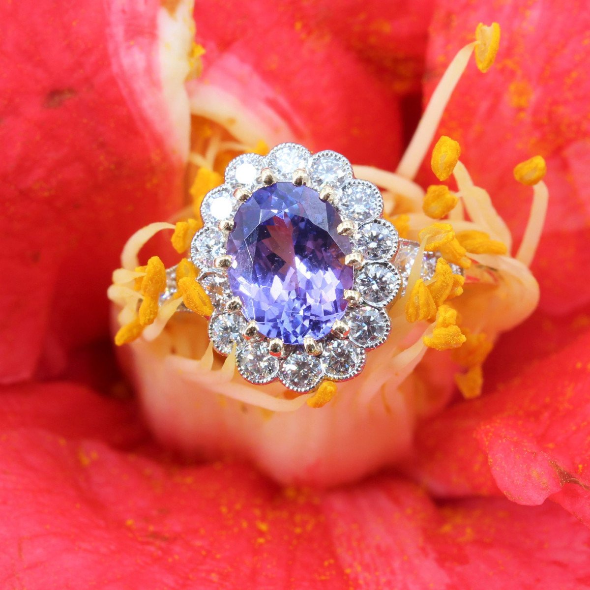 Gold Marguerite Tanzanite Diamond Ring-photo-5