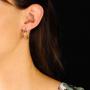 1829522-alb-6abbb70c10322.jpg