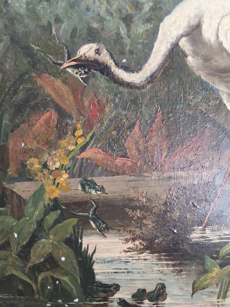 la cigogne et les grenouilles-photo-3
