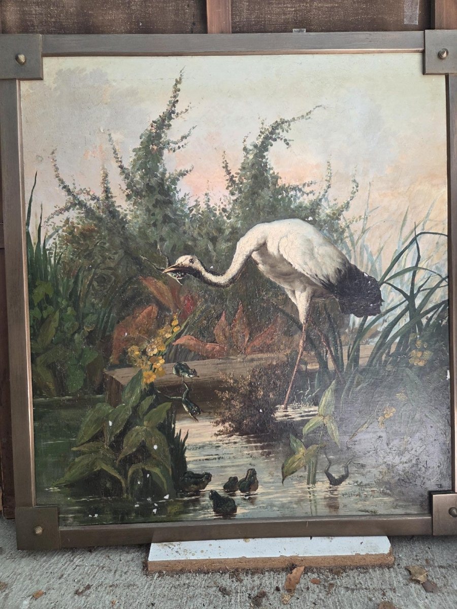 la cigogne et les grenouilles