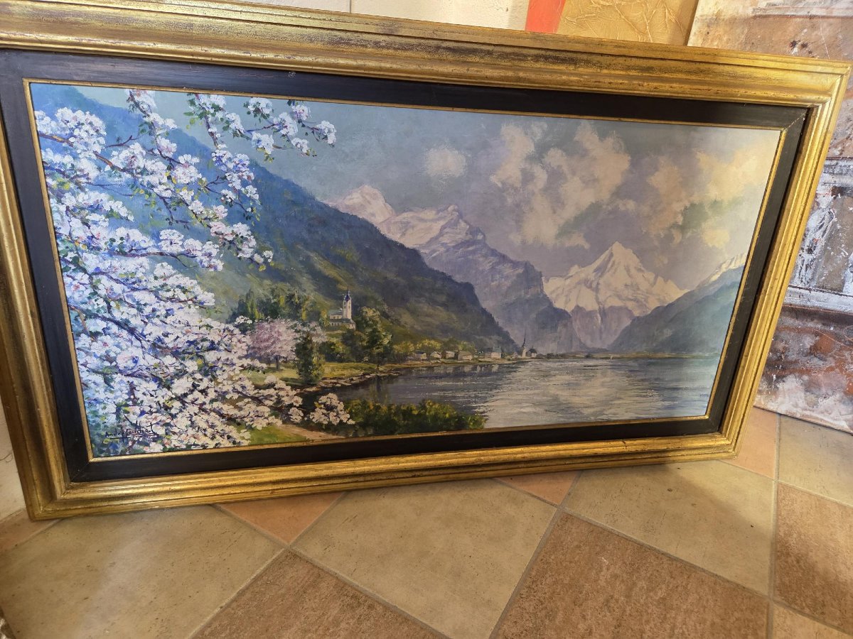 Spring Landscape 