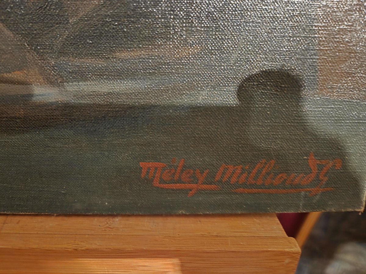 portrait d'un avocat signé Meley-Milloud-photo-3