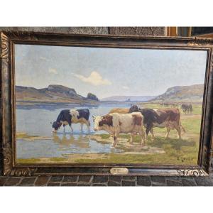 clovis terraire vaches au pré