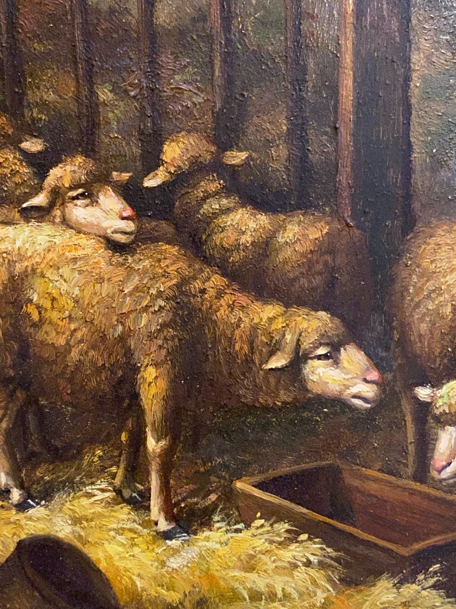 Framed Painting On Wooden Panel XIX Of Sheep Signed Henri De Buel Belgian Painter-photo-4