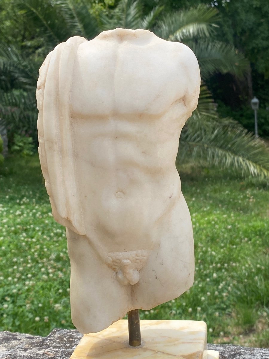 Male Torso. In White Marble In The Antique-photo-4