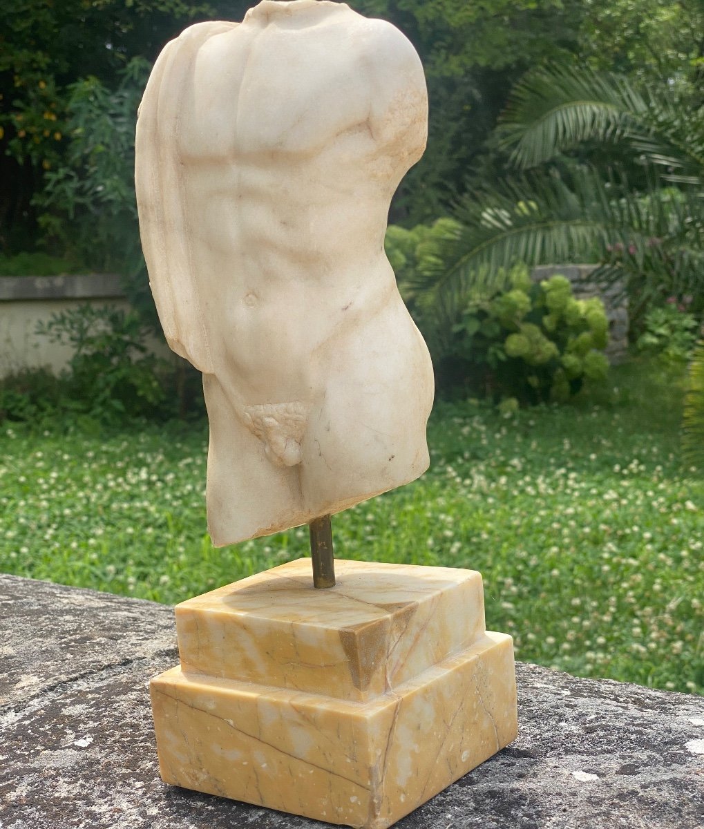 Male Torso. In White Marble In The Antique-photo-4