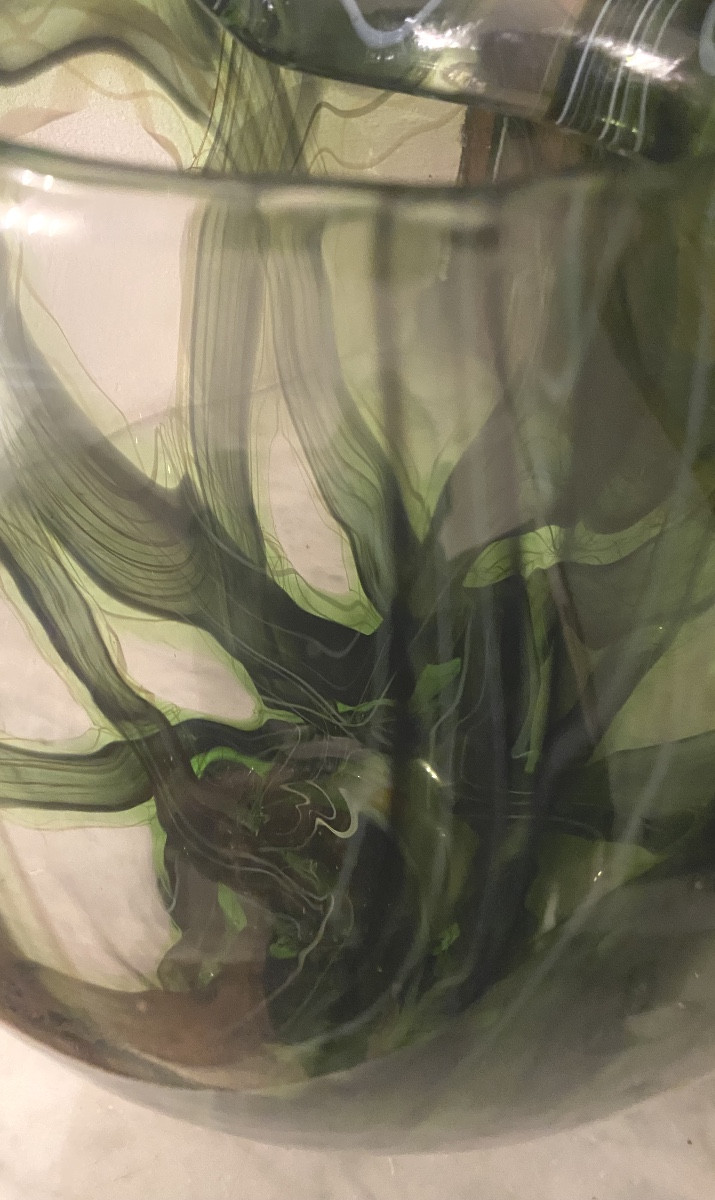   Flottement  d''herbes  Aquatiques  Dans  Un Vase  Bombé    En Verre De   Murano-photo-3