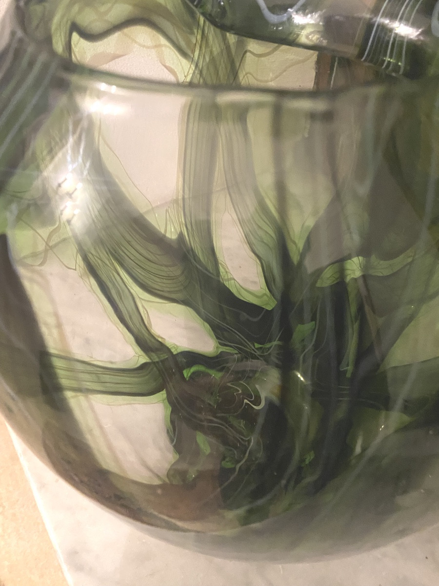   Flottement  d''herbes  Aquatiques  Dans  Un Vase  Bombé    En Verre De   Murano-photo-6