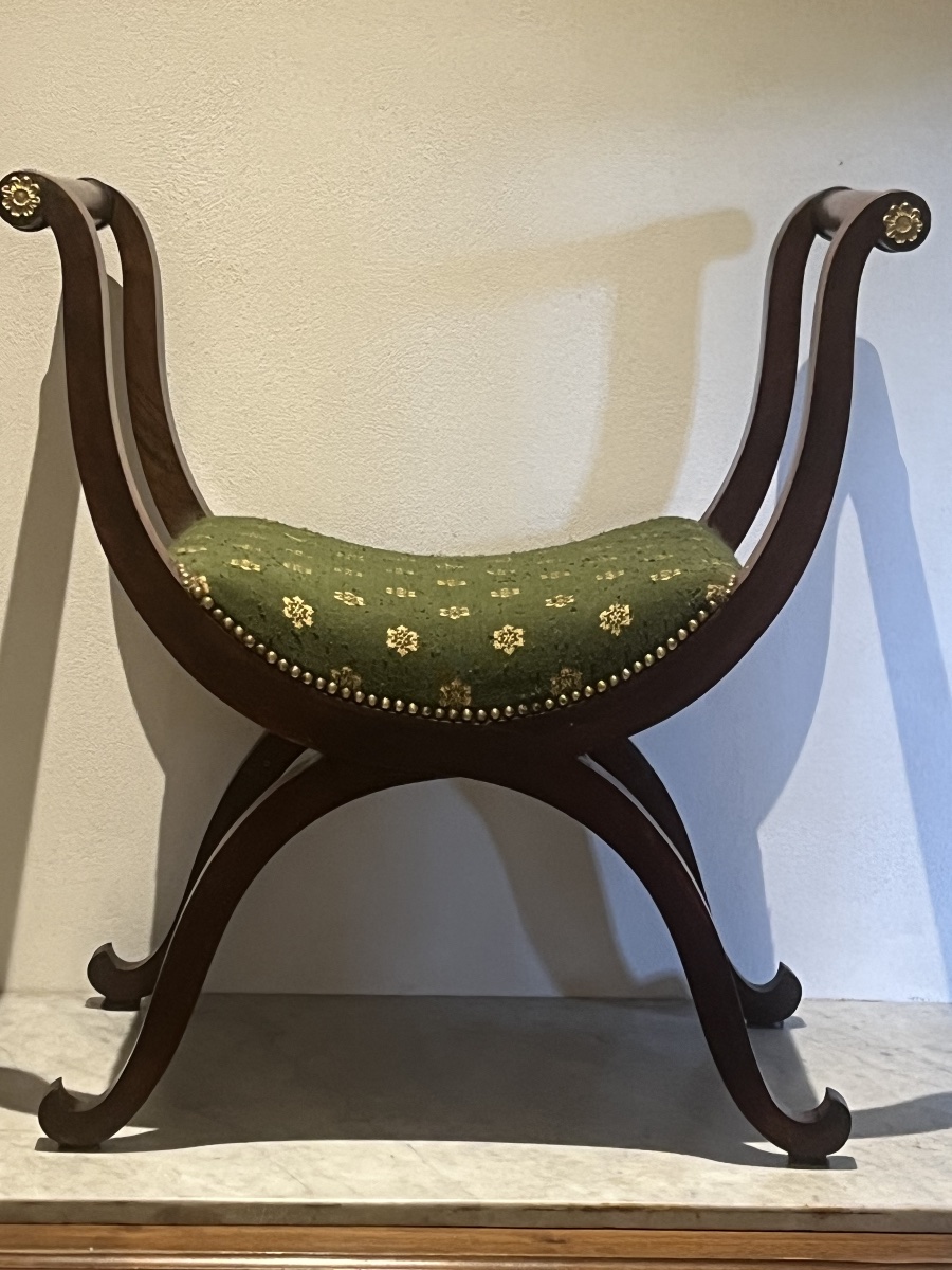 Acjou Curule Chair   In Empire Style   19th Century-photo-4