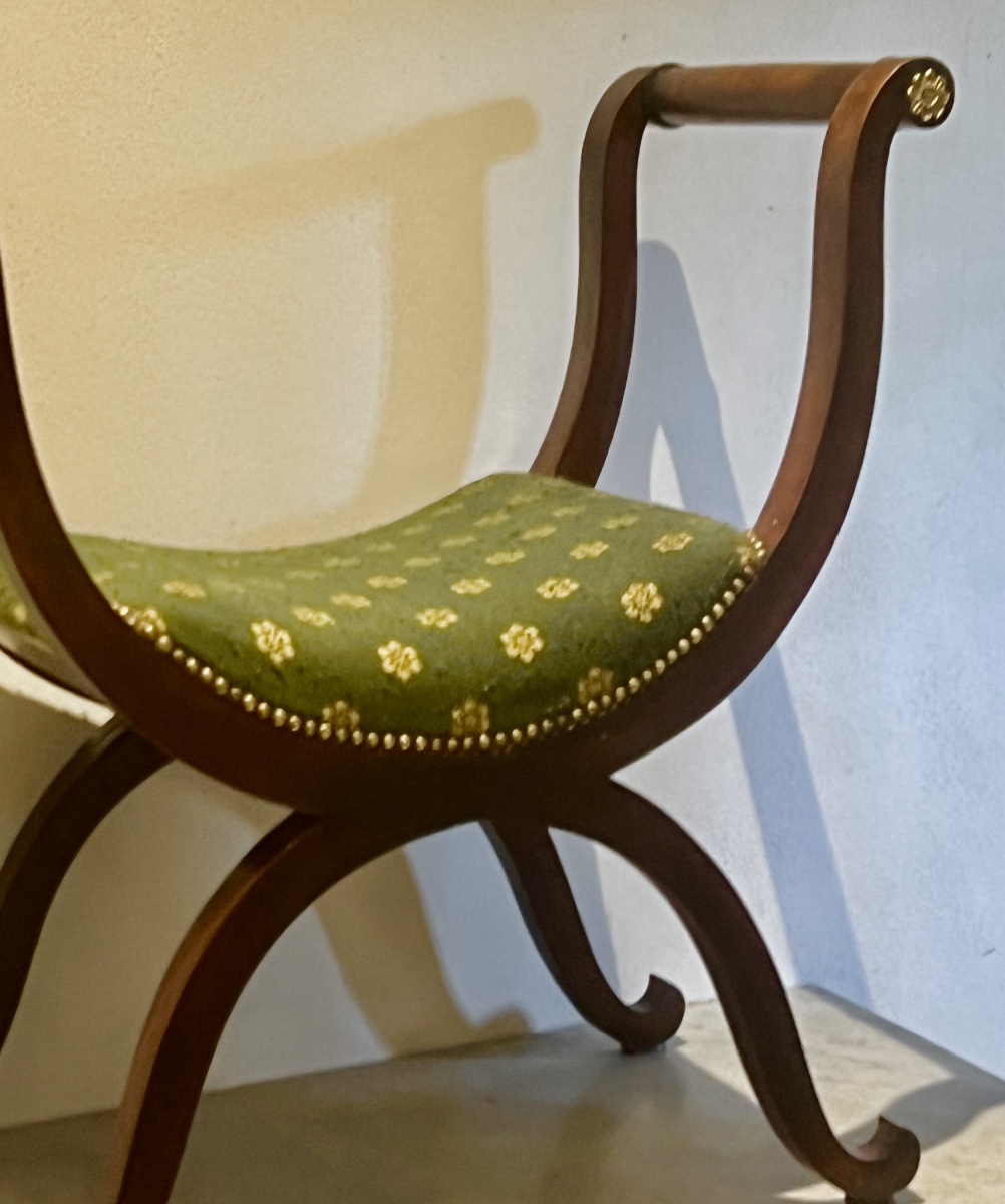 Acjou Curule Chair   In Empire Style   19th Century-photo-2