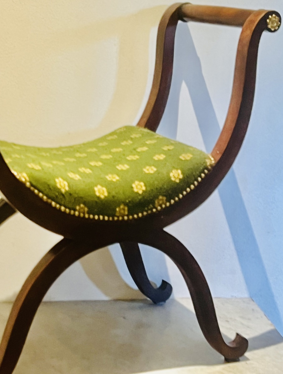 Acjou Curule Chair   In Empire Style   19th Century-photo-3