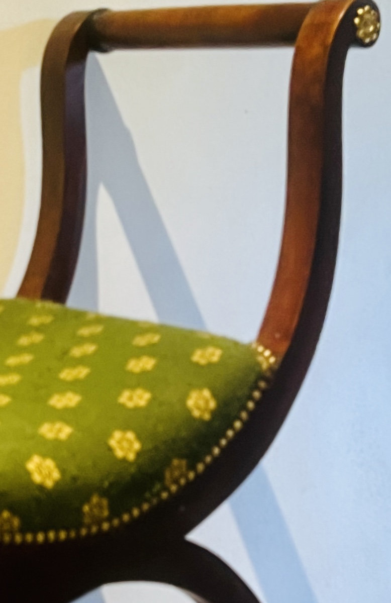 Acjou Curule Chair   In Empire Style   19th Century-photo-4