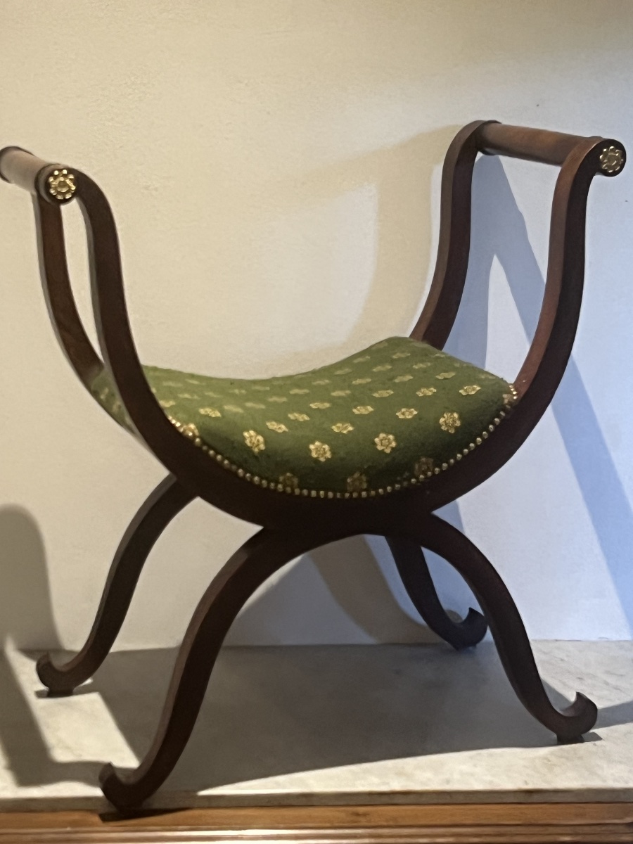 Acjou Curule Chair   In Empire Style   19th Century-photo-5