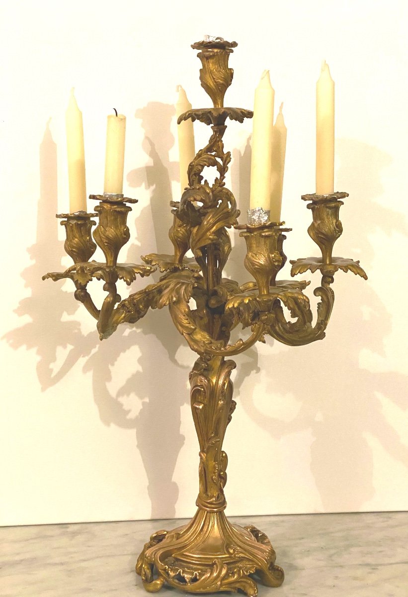   Grande Paire   De Flambeaux En Bronze DorÉ  A 7 Lumières   De Style Rocaille  19 ème