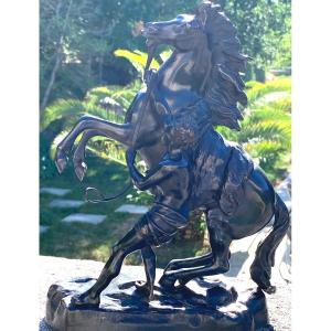 Pair Of Marly Horse Sculptures In Patinated Bronze Signed Coustou