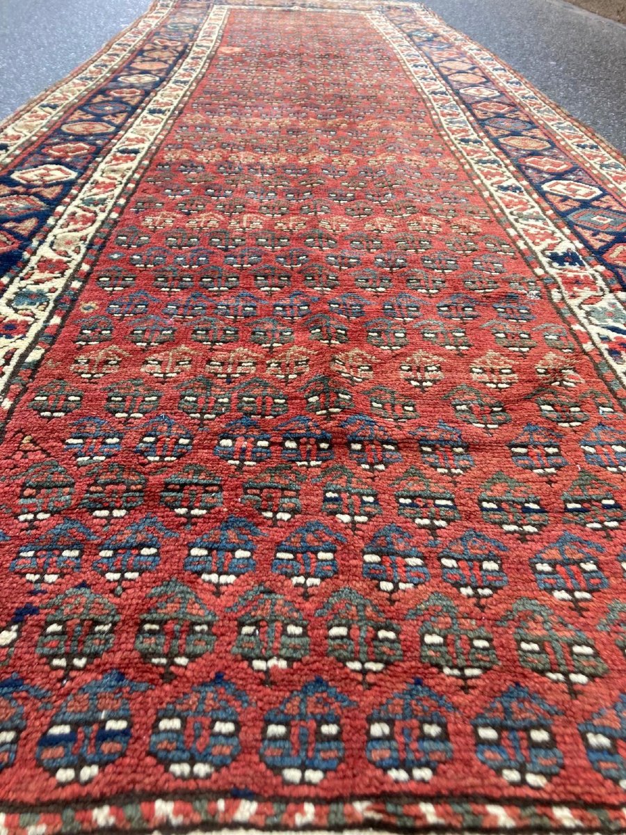 Karabag Carpet. Caucasus. Boteh Motifs. Late 19th Century. 362 X 116 Cm-photo-4