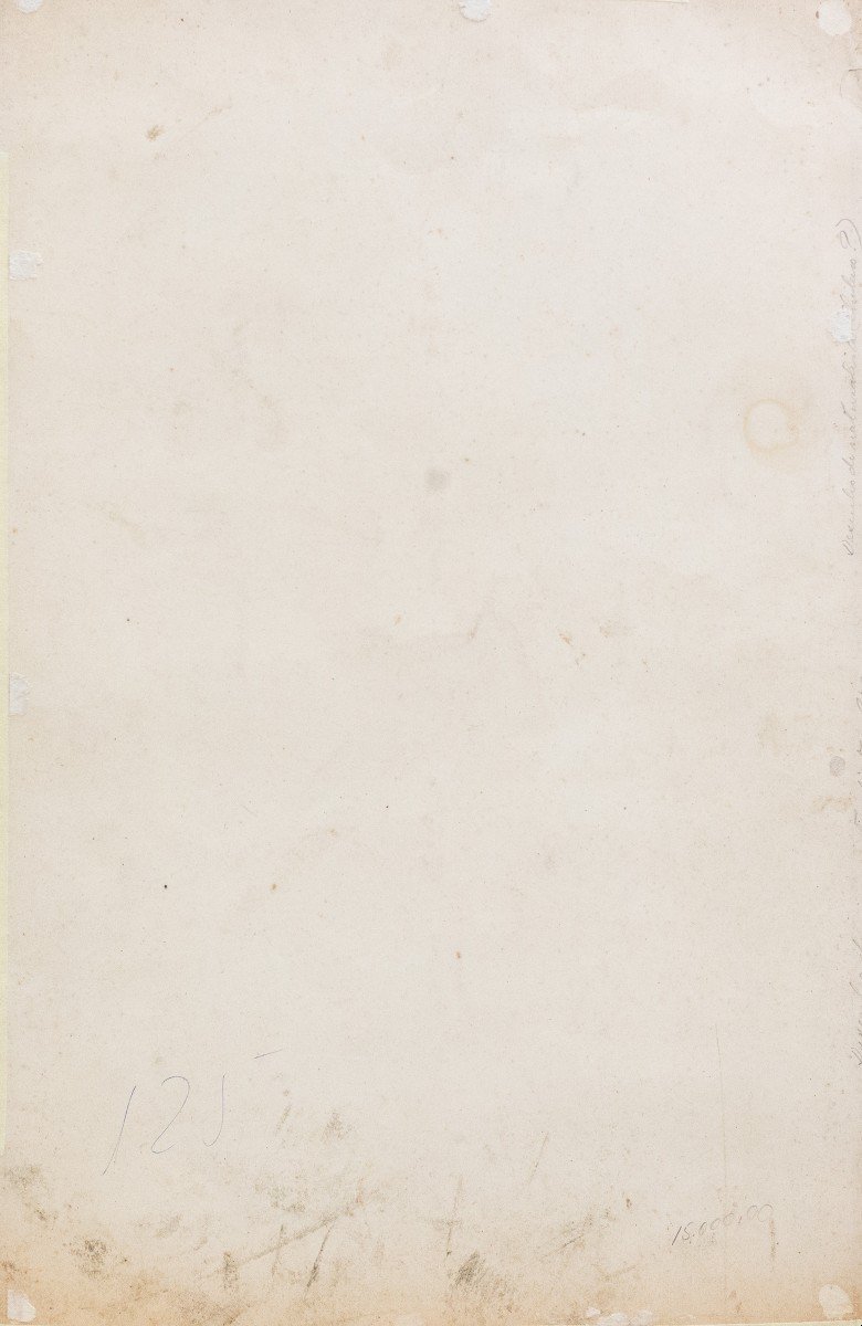 Emile Theophile Blanchard, Watercolor On Paper, " Study Of Insects," Epoch 19th Century-photo-8