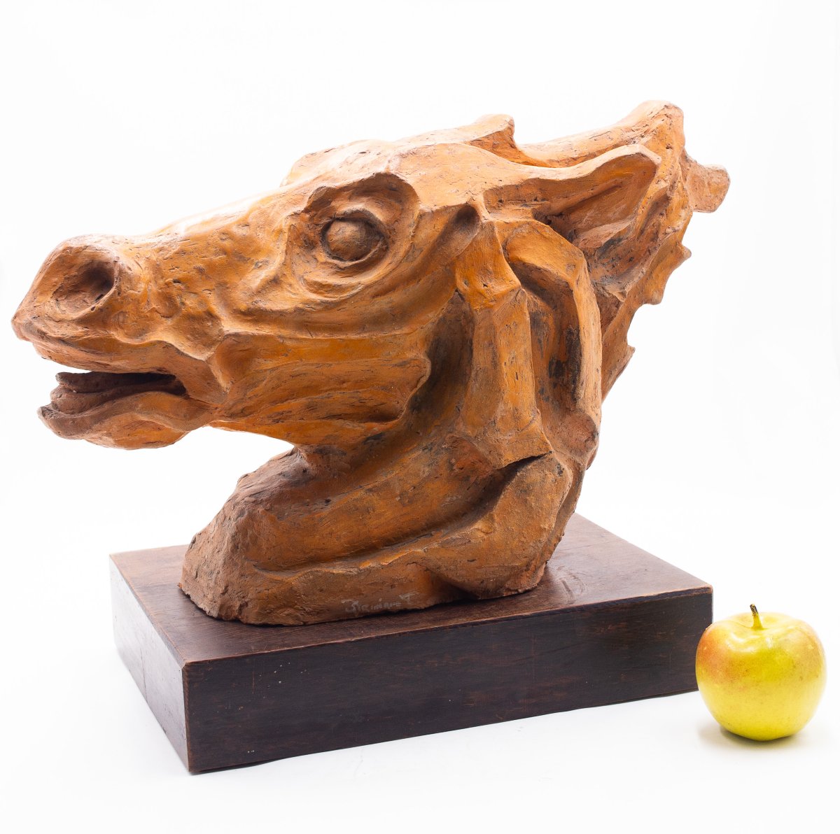 Sculpture, Tête de cheval en terre cuite, signée, époque XXe siècle-photo-4