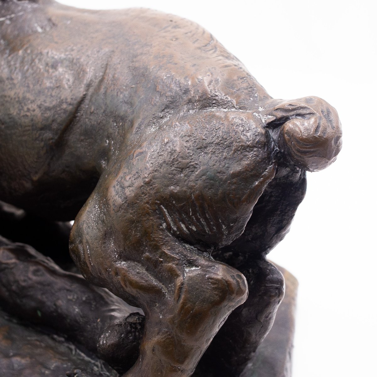 Antonio Ligabue, “animali In Lotta” (animals Fighting) Bronze Sculpture, 1940s-photo-3