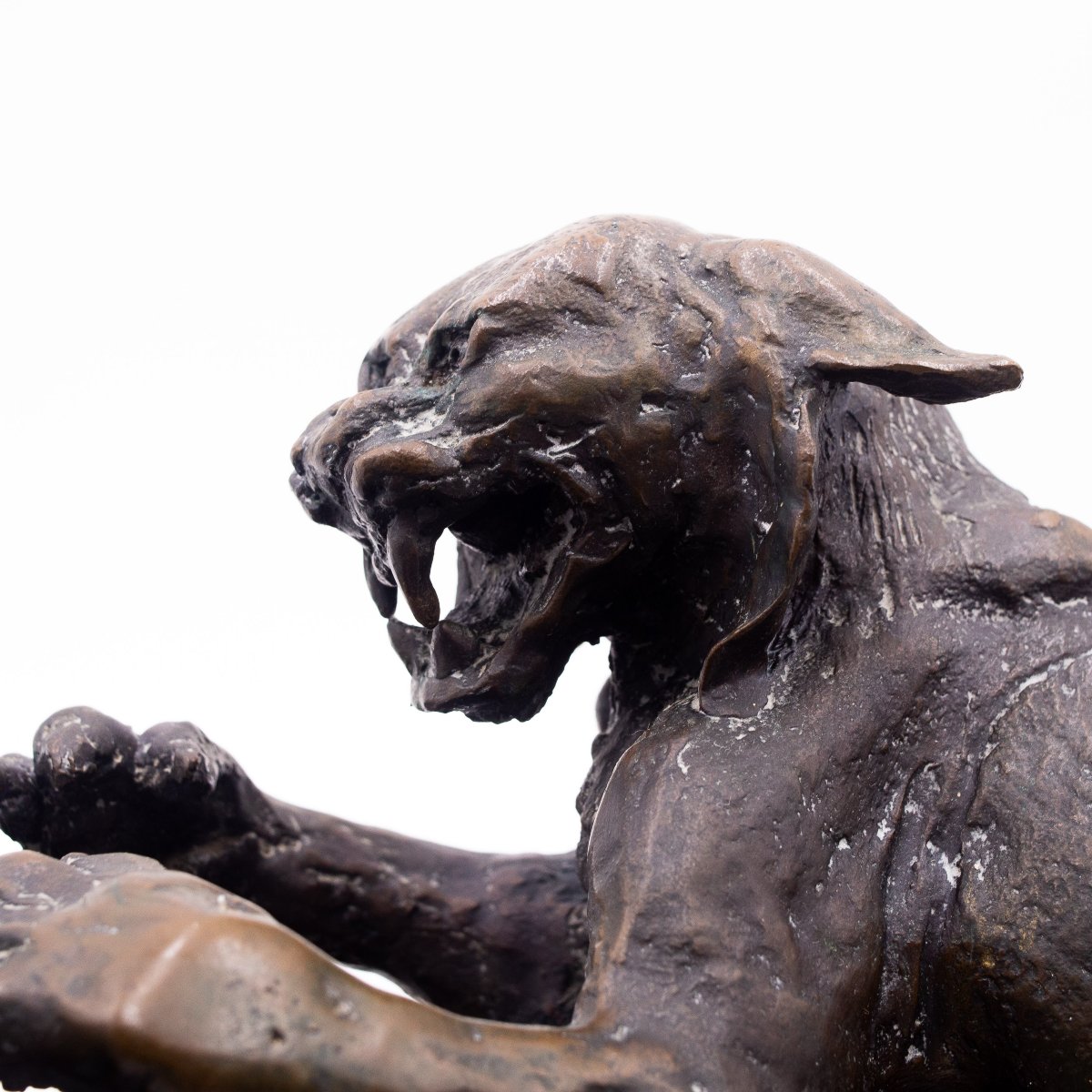 Antonio Ligabue, “animali In Lotta” (animals Fighting) Bronze Sculpture, 1940s-photo-5