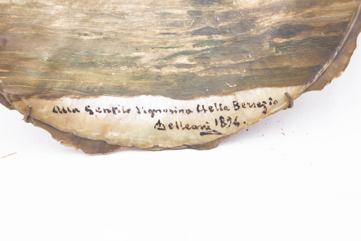 Coquillage peint par Lorenzo Delleani – 1894-photo-3