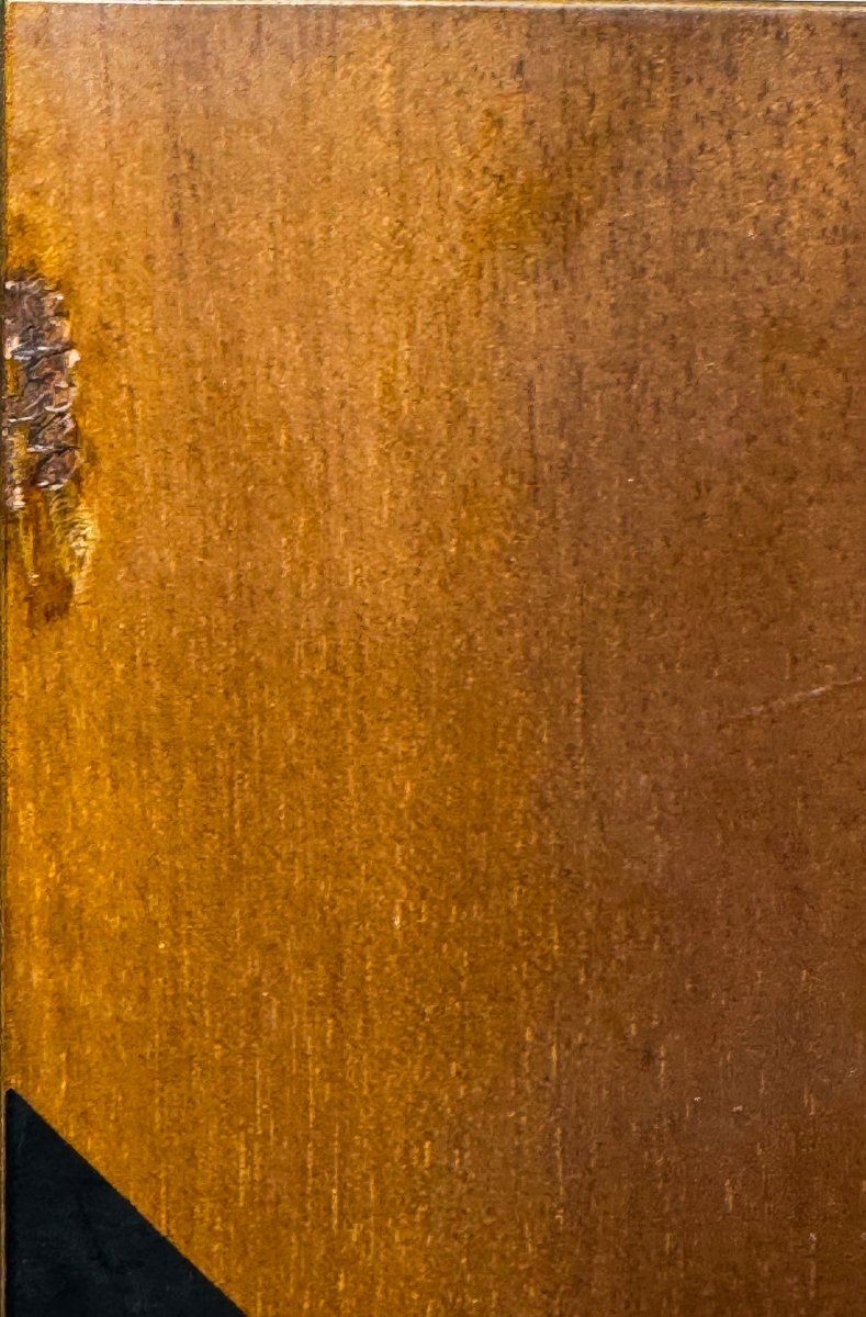 Afra & Tobia Scarpa For Maxalto, Coat Rack, 1970s-photo-4