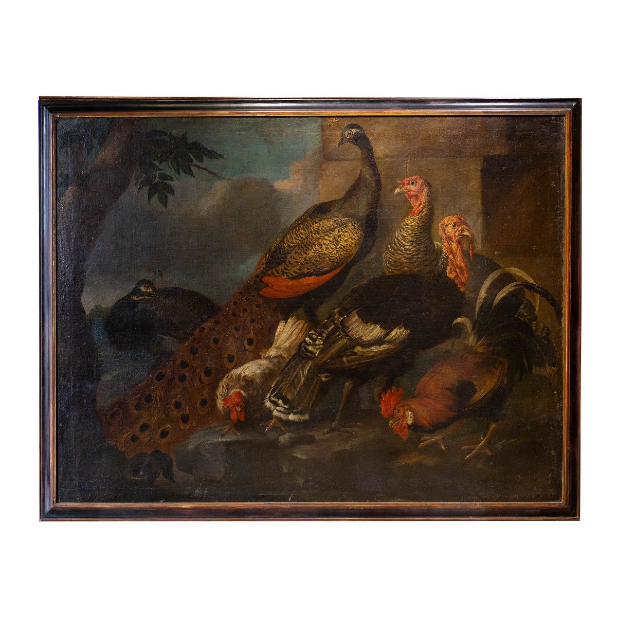 Giovanni Crivelli (il Crivellino), "peacocks, Turkeys, And Roosters," Oil On Canvas, 18th-photo-2