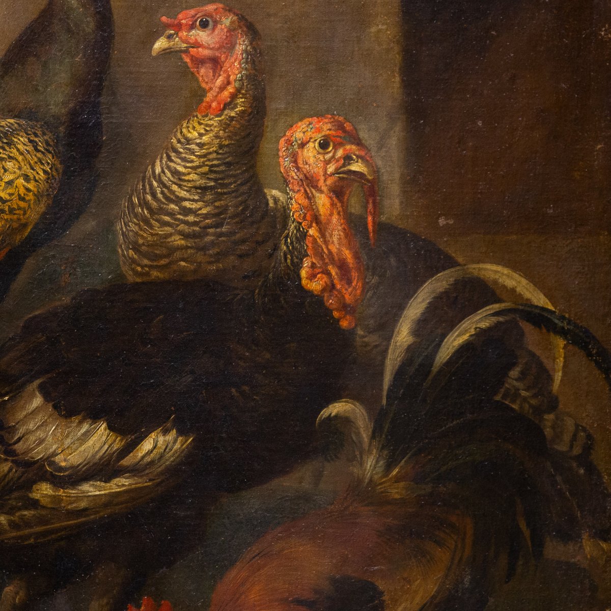 Giovanni Crivelli (il Crivellino), "peacocks, Turkeys, And Roosters," Oil On Canvas, 18th-photo-4
