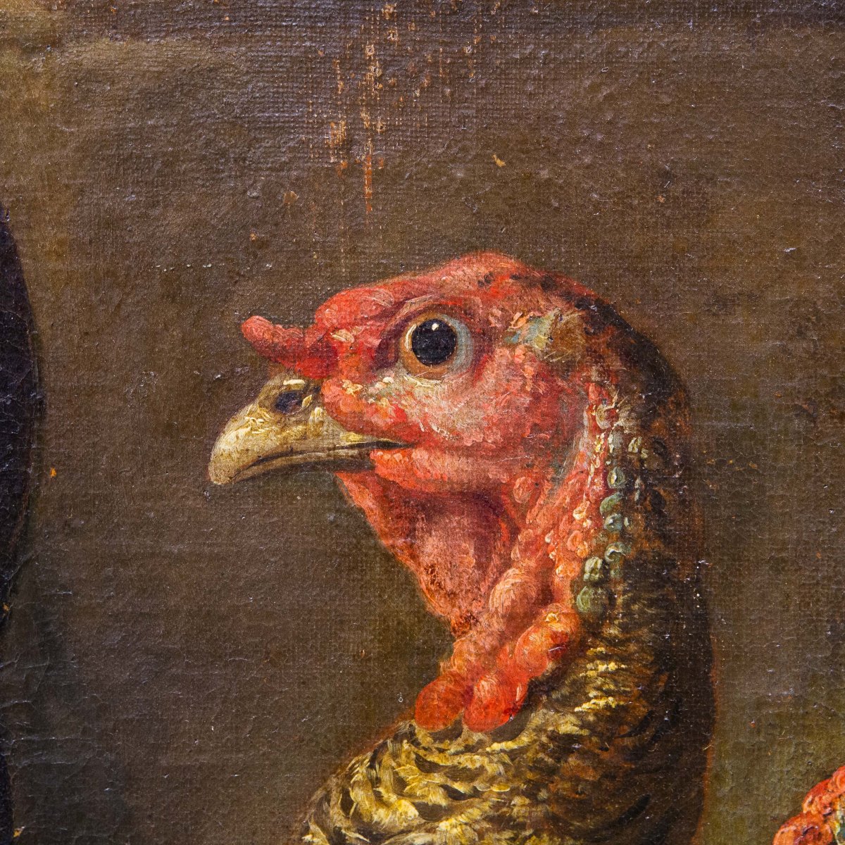 Giovanni Crivelli (il Crivellino), "peacocks, Turkeys, And Roosters," Oil On Canvas, 18th-photo-5