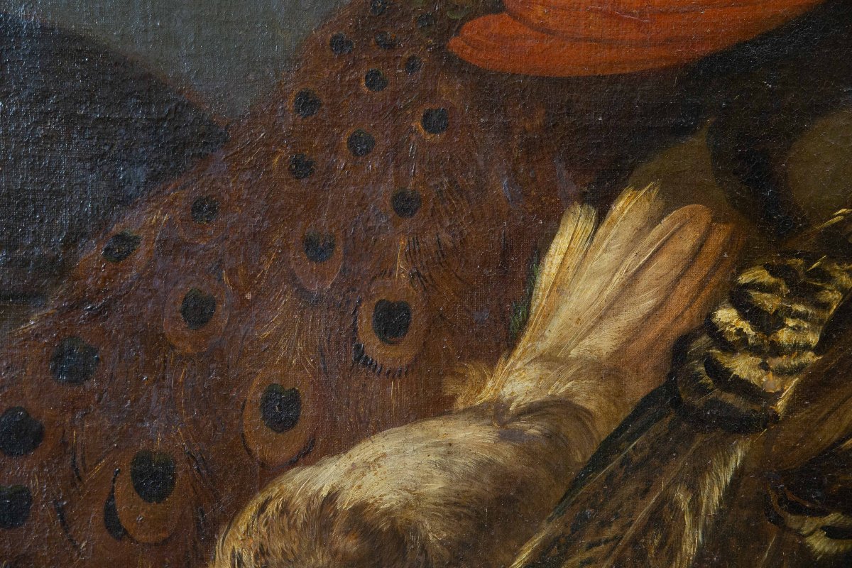 Giovanni Crivelli (il Crivellino), "peacocks, Turkeys, And Roosters," Oil On Canvas, 18th-photo-8