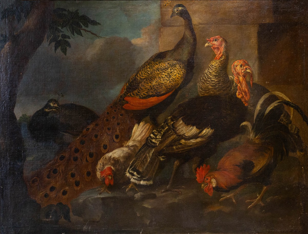 Giovanni Crivelli (il Crivellino), "peacocks, Turkeys, And Roosters," Oil On Canvas, 18th